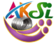 aksteelindustries.co.in